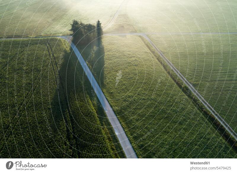 Deutschland, Bayern, Drohnenblick auf grüne Landschaftsfelder in der nebligen Morgendämmerung Außenaufnahme außen draußen im Freien Luftaufnahme Luftaufnahmen
