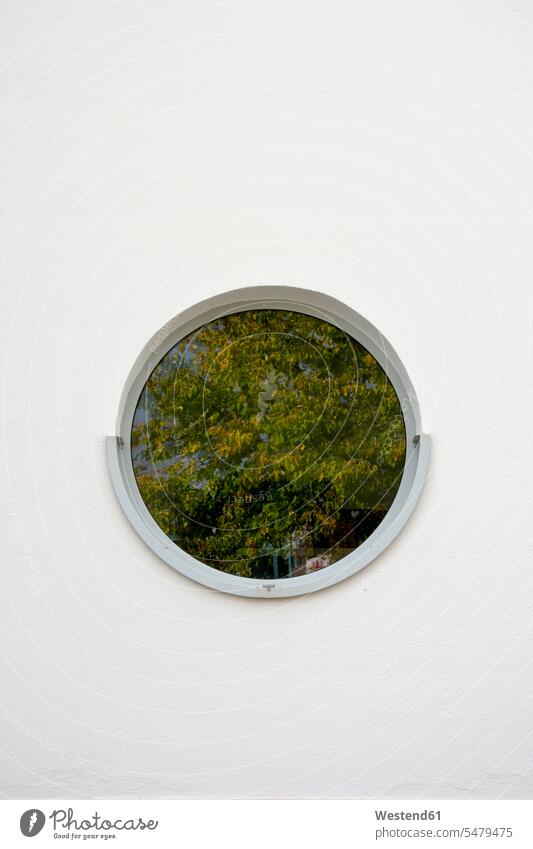 Baum spiegelt sich in rundem Fenster Tag Tageslichtaufnahme Tageslichtaufnahmen Tagesaufnahme am Tag Tagesaufnahmen tagsüber Außenaufnahme außen draußen