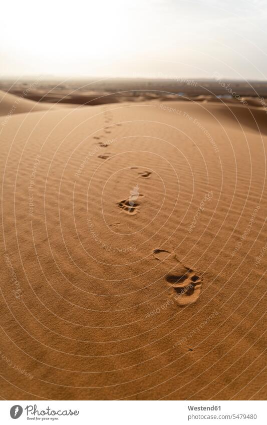 Fussspuren in Sanddünen in der Wüste Sahara, Merzouga, Marokko stimmungsvoll Spur Fußspur Travel sandig Landschaften Wüsten Duene Duenen Dünen Wuestenduene
