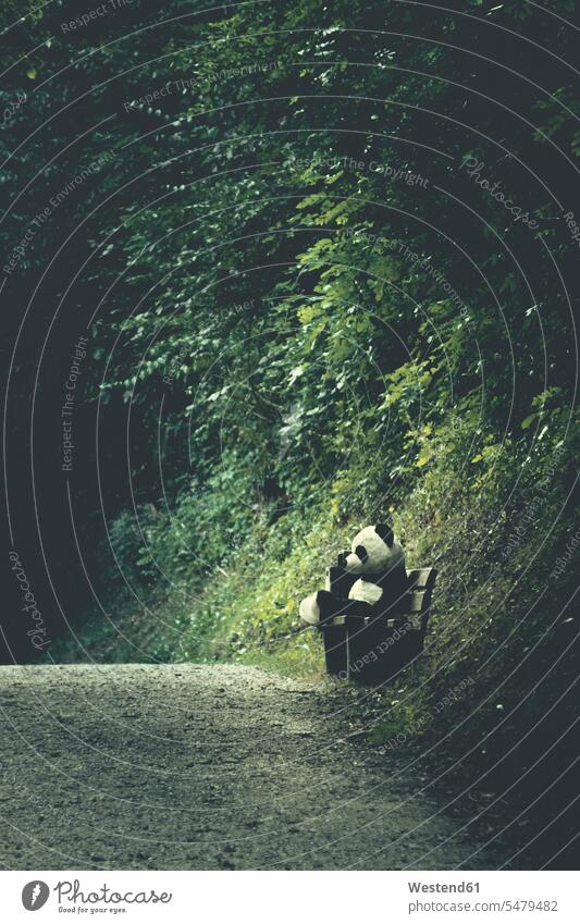 Deutschland, Wuppertal, Panda Plüschtier auf Waldbank Kindheit Tag am Tag Tageslichtaufnahme tagsueber Tagesaufnahmen Tageslichtaufnahmen tagsüber Ungewöhnlich