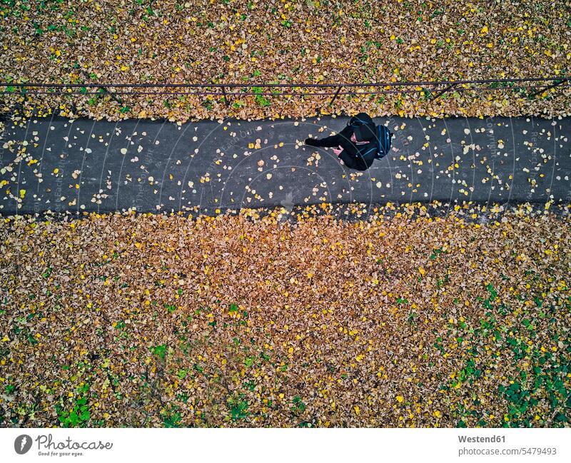 Luftaufnahme eines Mannes bei einem Spaziergang im Herbstpark Außenaufnahme außen draußen im Freien Tag Tageslichtaufnahme Tageslichtaufnahmen Tagesaufnahme