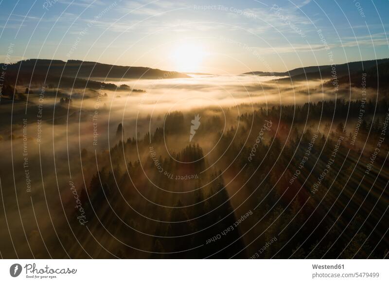 Deutschland, Baden-Württemberg, Drohnenansicht des in dichten Nebel gehüllten Schluchsee bei Sonnenaufgang Außenaufnahme außen draußen im Freien Luftaufnahme