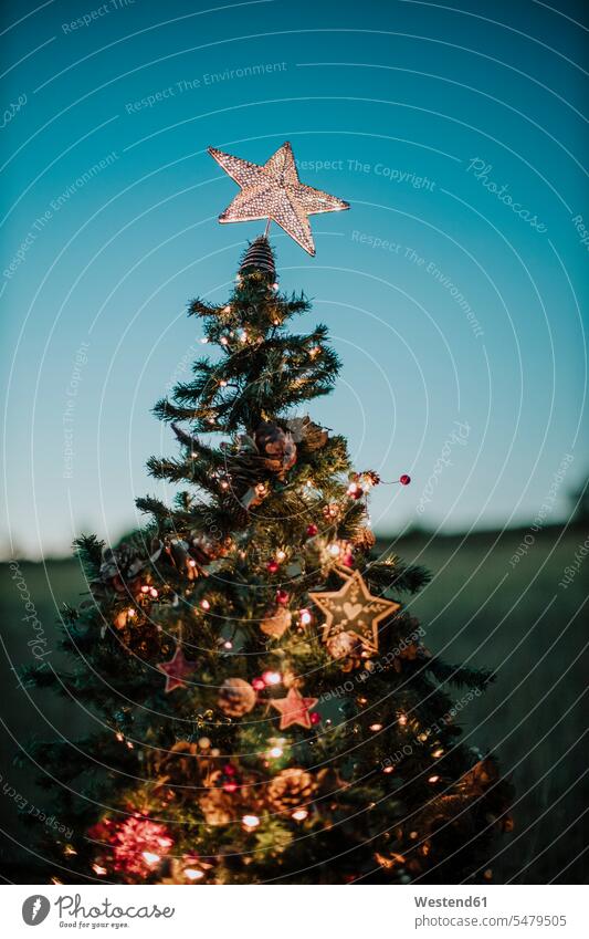Nahaufnahme eines Weihnachtsbaums mit sternförmiger Spitze vor klarem Himmel in der Abenddämmerung Farbaufnahme Farbe Farbfoto Farbphoto Spanien Außenaufnahme