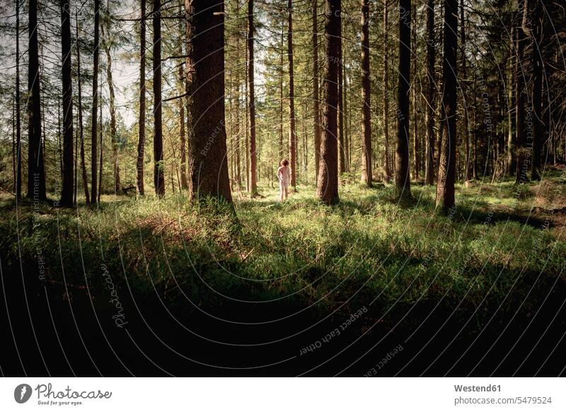 Rückansicht eines im Wald stehenden nackten Mannes Europäer Kaukasier Europäisch kaukasisch Forst Wälder Rueckansicht Rückenansicht Rueckenansicht von hinten