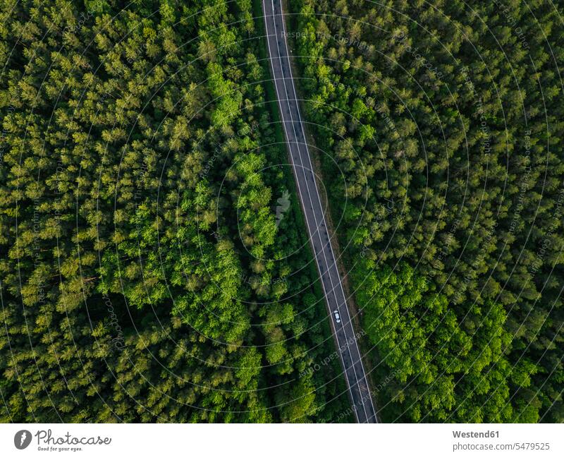 Russland, Oblast Leningrad, Tichwin, Luftaufnahme einer asphaltierten Straße, die sich durch ausgedehnte grüne Wälder schneidet Außenaufnahme außen draußen
