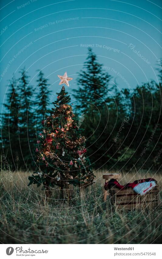 Beleuchteter Weihnachtsbaum auf Grasland gegen klaren Himmel in der Dämmerung Farbaufnahme Farbe Farbfoto Farbphoto Spanien Außenaufnahme außen draußen