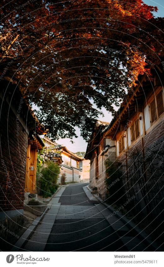 Gasse mit traditionellen Häusern, Bukchon Hanok Village, Seoul, Südkorea abends Travel Bauwerke Gebäude Haeuser wohnen Wohnhaeuser Wohnhäuser stimmungsvoll