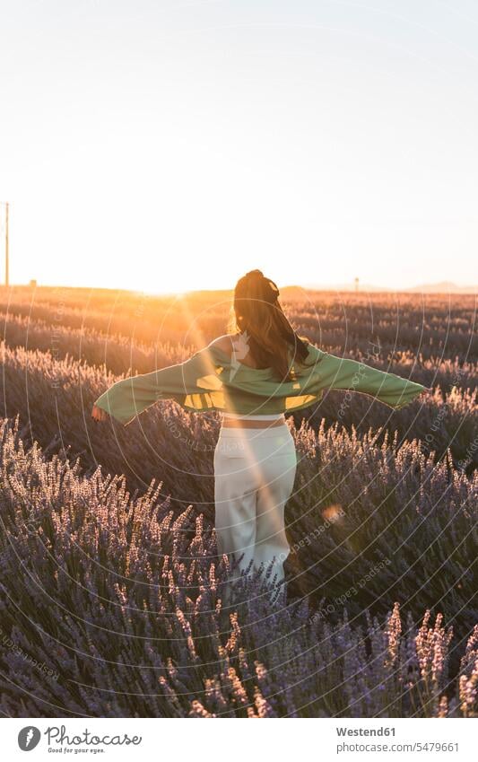Sorglose Frau mit ausgestreckten Armen, die bei Sonnenuntergang durch ein Lavendelfeld spaziert Farbaufnahme Farbe Farbfoto Farbphoto Außenaufnahme außen