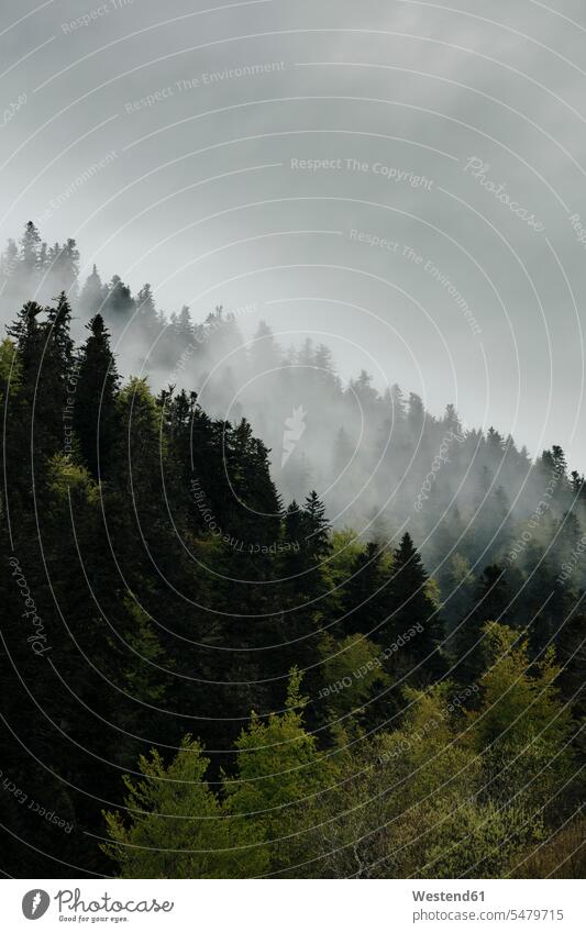 Abstrakte Landschaft der Midi-Pyrenäen, Frankreich stimmungsvoll Landschaften Berglandschaften Berge Wolken Forst Wälder nebelig außen draußen im Freien am Tag