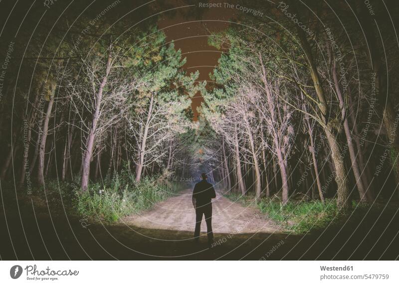 Rückenansicht eines Mannes, der nachts auf einem Waldweg steht und den Wald mit einer Taschenlampe beleuchtet Rätselhaft Geheimnisvoll Wundersam Raetselhaft