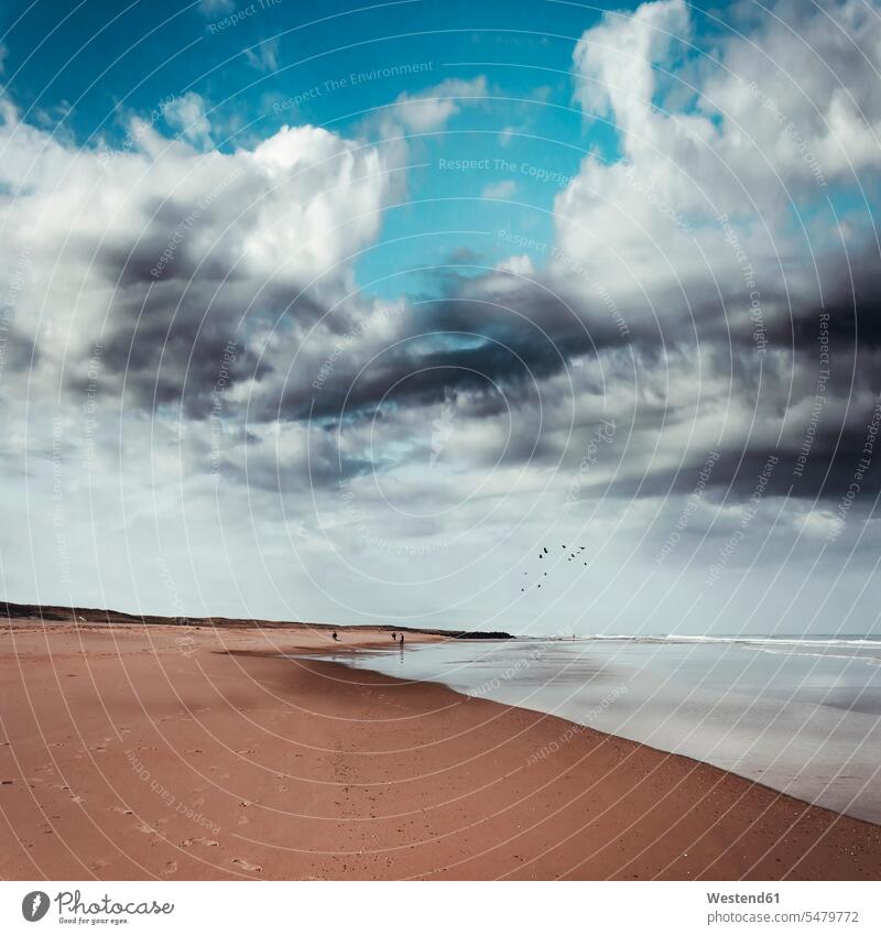 Frankreich, Nouvelle-Aquitaine, Contis, Sturmwolken über dem Strand von Contis Plage ländliches Motiv nicht städtisch dramatischer Himmel Gewässer Wasser