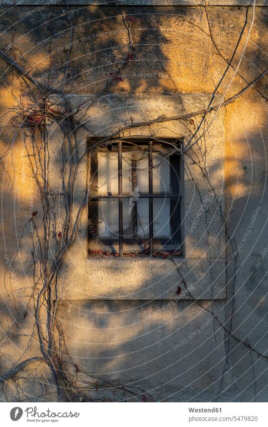 Hausfassade mit vergittertem Fenster im Herbst Fassaden Hauswand Hauswände Gitterstaebe Gitterstäbe außen draußen im Freien Gebäudefront menschenleer verlassen