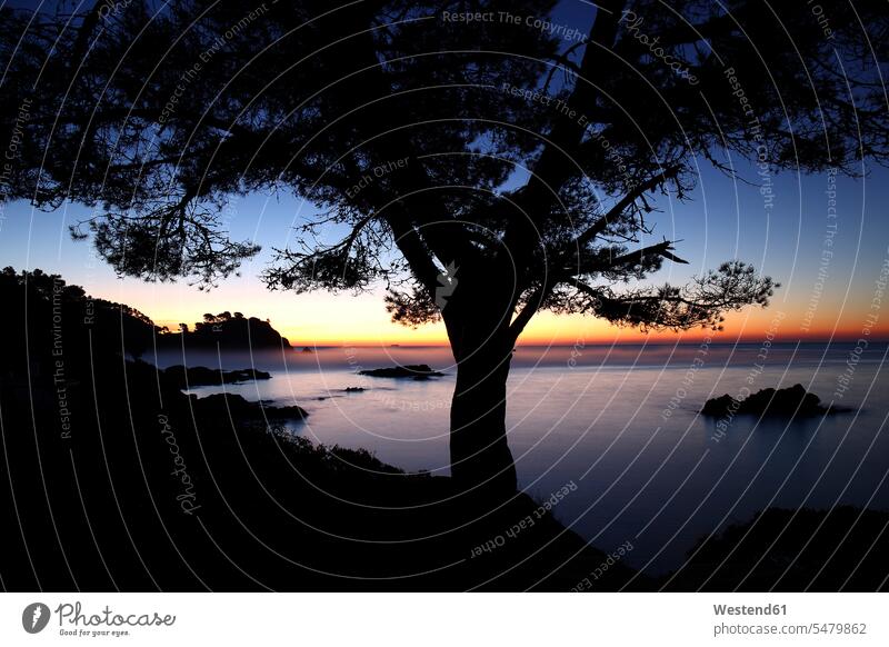 Spanien, Cala S'Alguer, Costa Brava, Sonnenuntergang an der Küste Abend abends Schönheit der Natur Schoenheit der Natur Ruhe Beschaulichkeit ruhig Silhouette