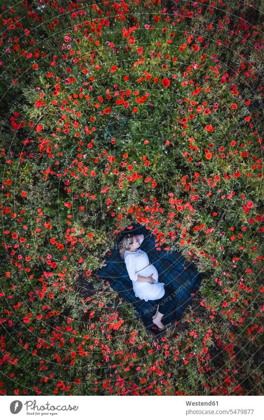 Schwangere Frau im mittleren Erwachsenenalter schläft auf einer Decke im Mohnfeld Farbaufnahme Farbe Farbfoto Farbphoto Deutschland Freizeitbeschäftigung Muße