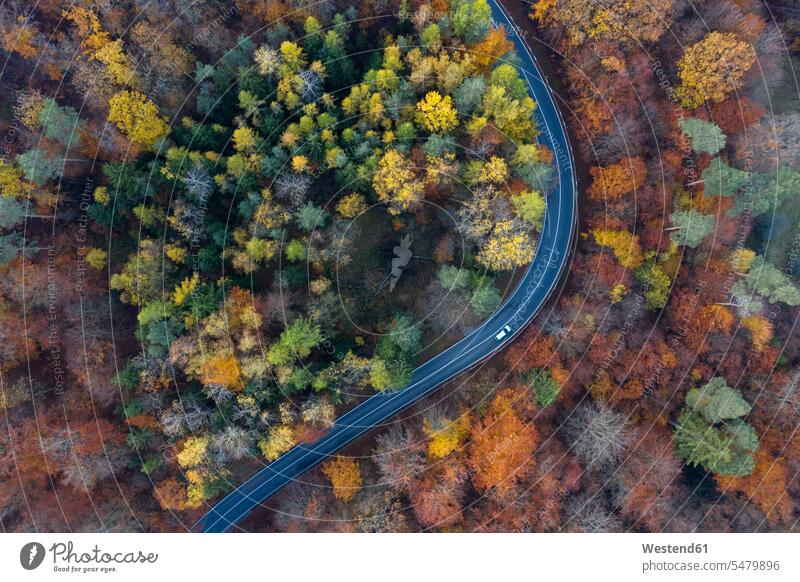 Deutschland, Bayern, Drohnenansicht einer kurvenreichen Landstraße, die durch den Herbstwald in Steigerwald führt Außenaufnahme außen draußen im Freien Tag