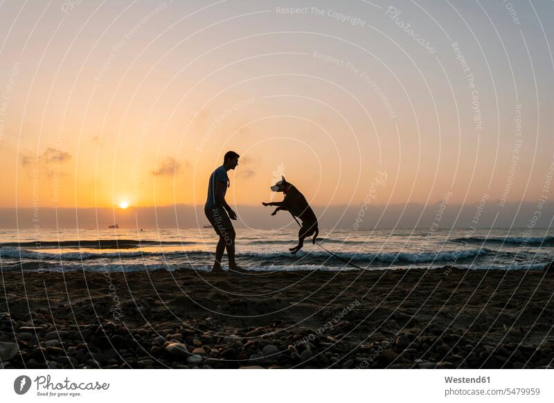 Scherenschnittmann vergnügt sich mit seinem Hund im Morgengrauen am Strand Farbaufnahme Farbe Farbfoto Farbphoto Außenaufnahme außen draußen im Freien ein Tier