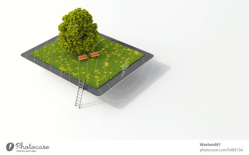 Tablett mit Baum und Bänken auf der Wiese, 3D-Rendering weißer Hintergrund weisser Hintergrund Online Entspannung entspannt Entspannen relaxen entspannen Gras