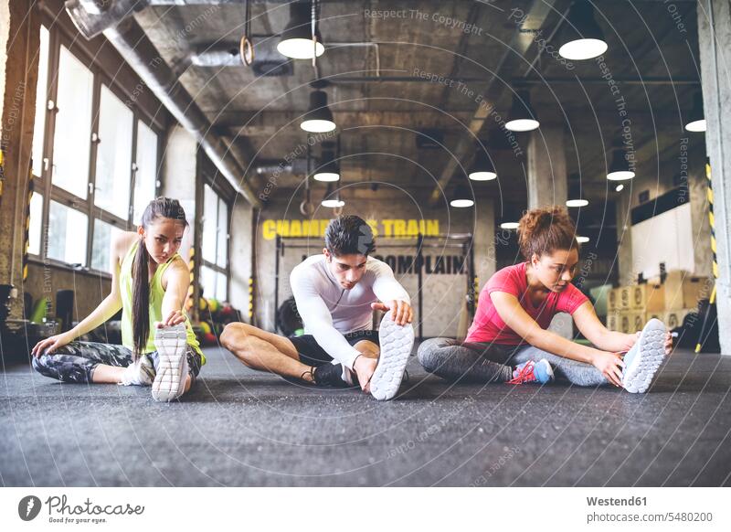 Drei junge Leute beim Stretching im Fitnessstudio dehnen strecken trainieren Gymnastik Fitnesstraining fit Gesundheit gesund Sport Fitnessclubs Fitnessstudios