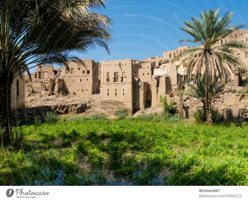 Oman, Birkat Al-Mawz, Blick auf das Dorf Bergdorf Gebäude Birkat al Mauz Birkat Al Mawz Wiese Wiesen Gras wolkenlos ohne Wolken Textfreiraum Blauer Himmel Tag