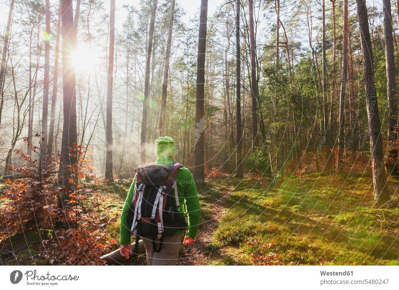 Deutschland, Rheinland-Pfalz, Rückenansicht eines Wanderers mit Rucksack am Wintertag in Dahn Rockland wandern wandernd wandert Mann Männer männlich Erwachsener