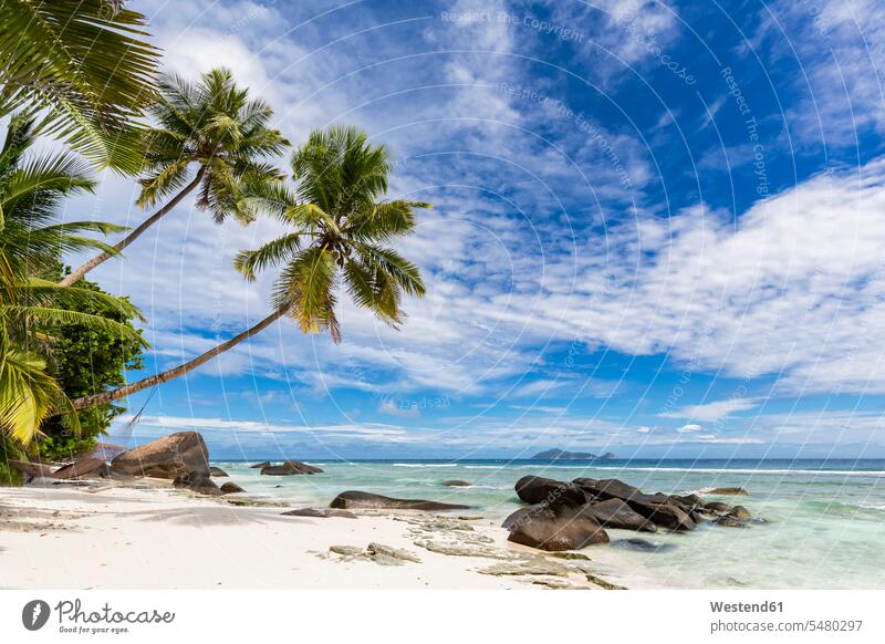 Seychellen, Silhouette Island, Strand La Passe, Presidentel Beach, Palme mit Hängematte Niemand Außenaufnahme draußen im Freien Entspannung entspannt Entspannen
