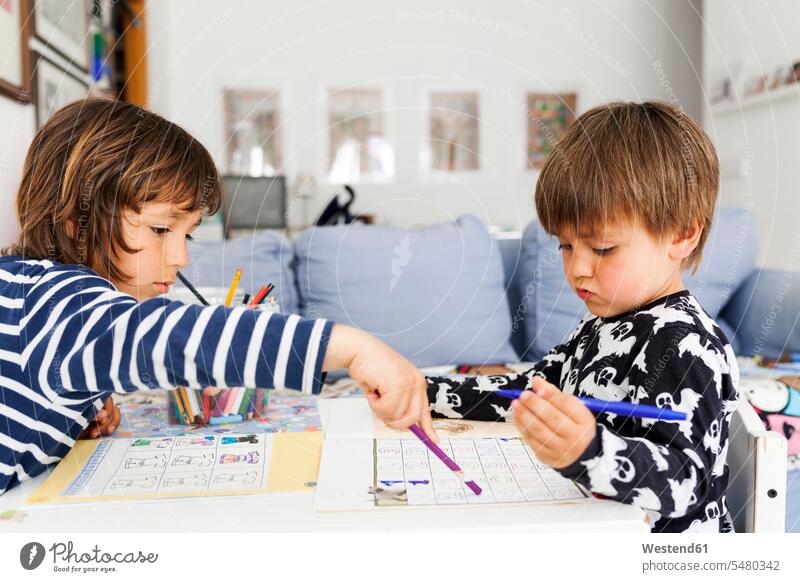 Zwei kleine Brüder machen Hausaufgaben Papier Papiere Gemeinsamkeit zusammen gemeinsam Freizeitbeschäftigung Freizeitbeschaeftigung Kindheit Blatt Papier