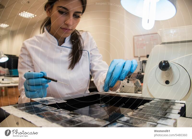 Laborant im Analyselabor, der Objektplatten im Paraffinbad vorbereitet Labore arbeiten Arbeit Laborantin Laborantinnen Laboranten Wissenschaft wissenschaftlich