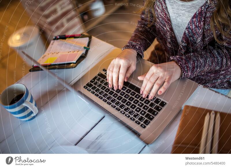 Junge Frau, die zu Hause mit dem Laptop arbeitet Europäer Kaukasier Europäisch kaukasisch Notebook Laptops Notebooks Verbindung verbunden verbinden Anschluss
