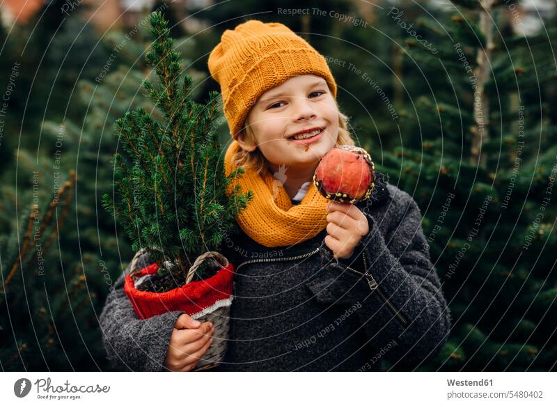 Glücklicher Junge bereitet sich auf Weihnachten vor, hält Topfbaum, isst schokoladengetränkten Apfel Weihnachtsbaum Christbaum Weihnachtsbäume Weihnachtsbaeume