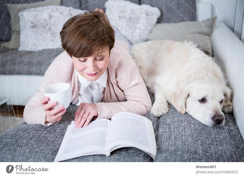 Ältere Frau liegt auf dem Sofa und liest mit einem Hund an ihrer Seite ein Buch Seniorin älter Seniorinnen alt Gemütlich Wohlfühlen behaglich Gemütlichkeit