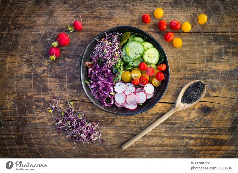 Mittagsschüssel mit Bio-Blattsalat, Rotkohl, Tomaten, Gurken und Radieschensprossen Zutaten Gemüse Gemuese bio biologisch organisch Gesunde Ernährung Ernaehrung