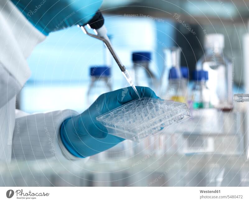 Wissenschaftler pipettiert eine DNA-Probe in eine Multiwell-Platte, die für genetische Tests in einem Labor bereit ist pipettieren Labore wissenschaftlich