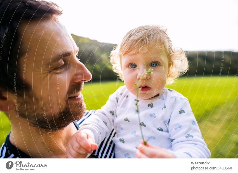Vater hält süßen kleinen Jungen mit Pflanze auf der Wiese Baby Babies Babys Säuglinge Kind Kinder Spaß Spass Späße spassig Spässe spaßig lächeln Mensch Menschen