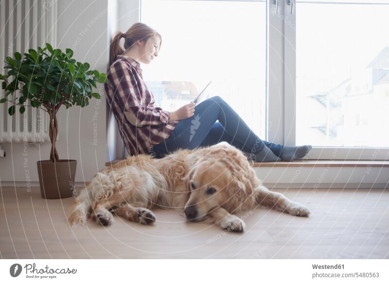 Junge Frau und ihr Hund entspannen sich zu Hause Europäer Kaukasier Europäisch kaukasisch Topfpflanze Topfpflanzen Fensterbank Fensterbrett Fenstersims