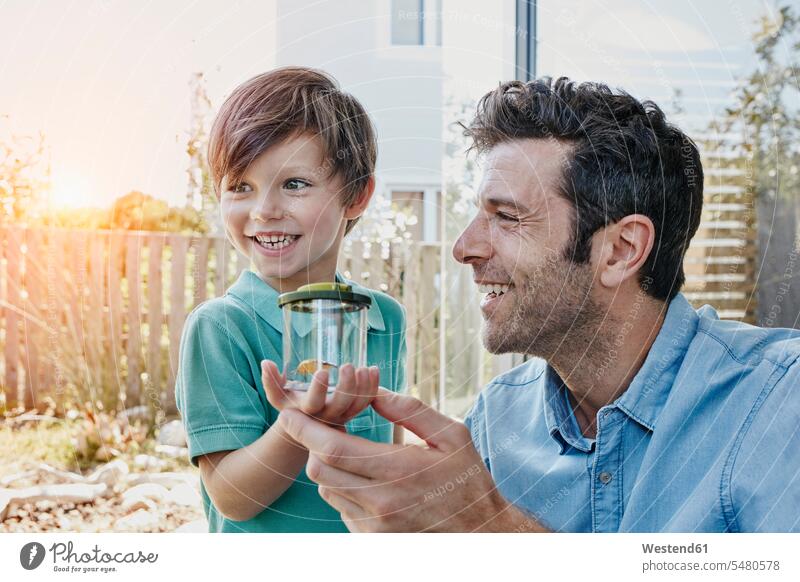 Vater und Sohn fangen gemeinsam eine Grille Glas Gläser Echte Grillen Gryllidae Freude freuen fangend beobachten zuschauen ansehen Papas Väter Vati Vatis Papis
