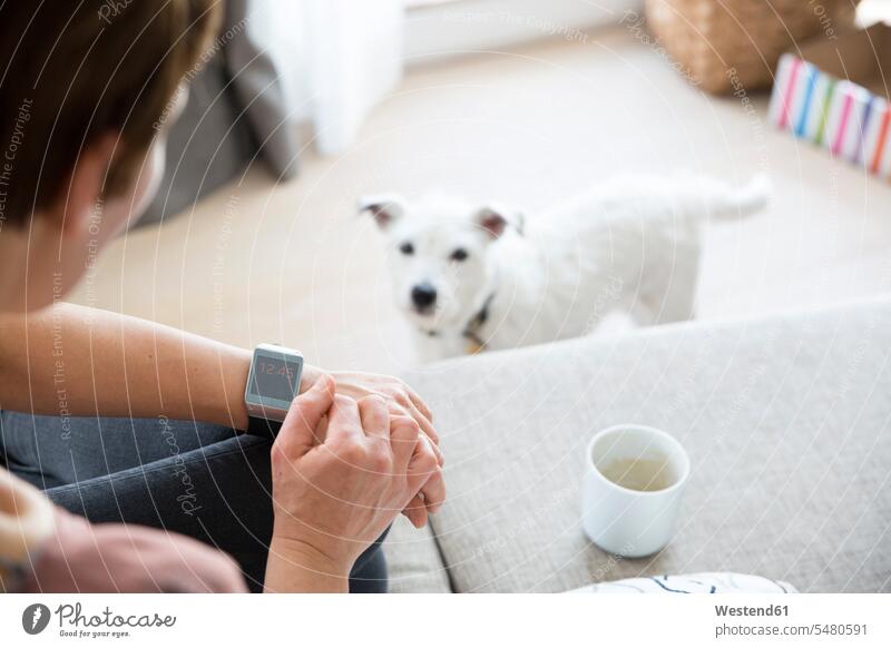 Frau sitzt zu Hause auf der Couch und schaut auf Smartwatch Armbanduhr Armbanduhren Uhr Uhren weiblich Frauen Kaffeebecher Becher Sofa Couches Liege Sofas