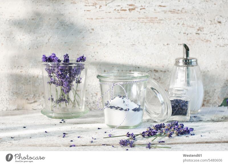 Glas Lavendelzucker Duft duftend Geruch Düfte Lavandula angustifolia Wand Wände Waende Blume Blumen Blüte Gläser Blüten blühen Glasdeckel süß Süßes aromatisiert