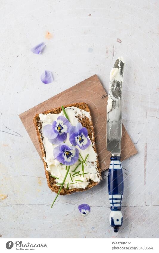 Scheibe Vollkornbrot mit Frischkäse, Schnittlauch und essbaren Hornveilchen angerichtet garniert Messer Blüte Bluete Blueten Blütenkopf blühen servierfertig