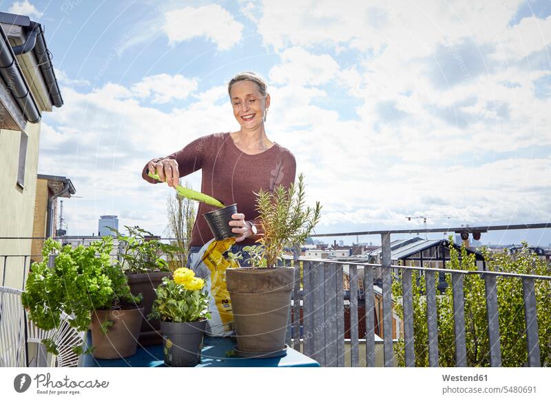Lächelnde reife Frau pflegt Pflanzen auf dem Balkon Pflanzenwelt Flora lächeln Balkone weiblich Frauen Erwachsener erwachsen Mensch Menschen Leute People
