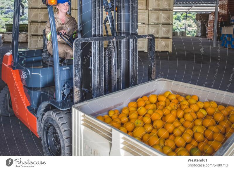 Frau bewegt orangefarbenen Behälter mit Gabelstapler Plantage Plantagen Orange Citrus sinensis Apfelsinen Orangen fahren fahrend fahrender fahrendes arbeiten