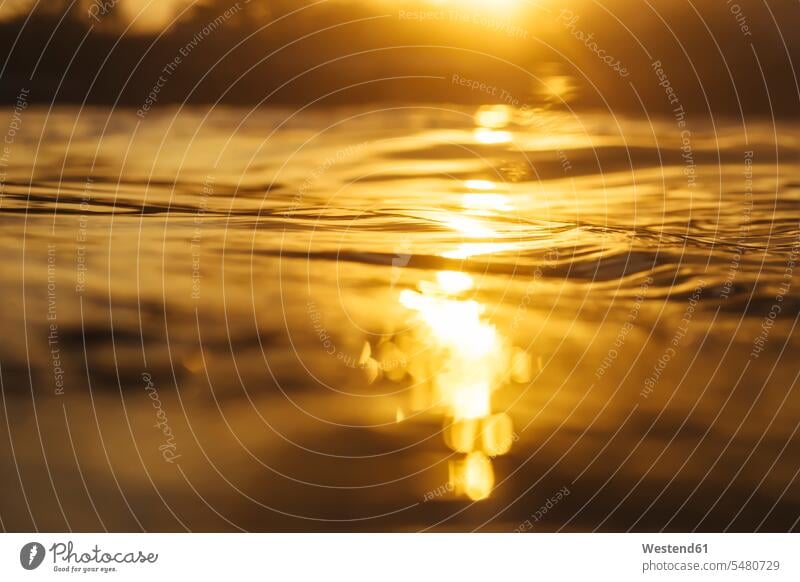 Meerwasser zur Zeit des Sonnenaufgangs Stimmung stimmungsvoll leuchtend strahlend hell Natur Linsenreflexion Blendenflecken Reflexlicht Lens Flare Außenaufnahme