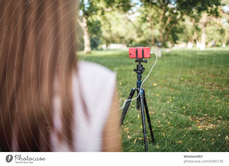 Frau arbeitet mit Kamerahandy auf Stativ auf einer Wiese Park Parkanlagen Parks weiblich Frauen fotografieren Erwachsener erwachsen Mensch Menschen Leute People