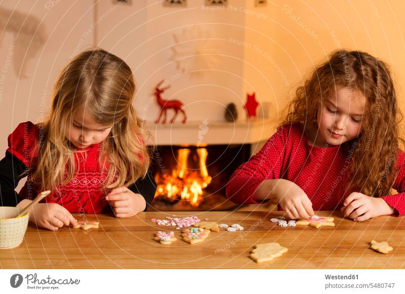 Kleine Mädchen garnieren Weihnachtsplätzchen mit Hunderten und Tausenden Keks Kekse Plaetzchen Plätzchen backen weiblich Weihnachten Christmas X-Mas X mas