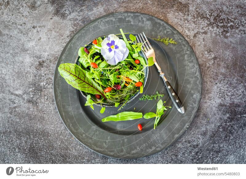 Schale mit Wildkräutersalat mit essbaren Blüten, Preiselbeeren und Wolfsbeeren auf dem Teller Platzteller gemischter Salat Cranberry Kranbeere Kranbeeren