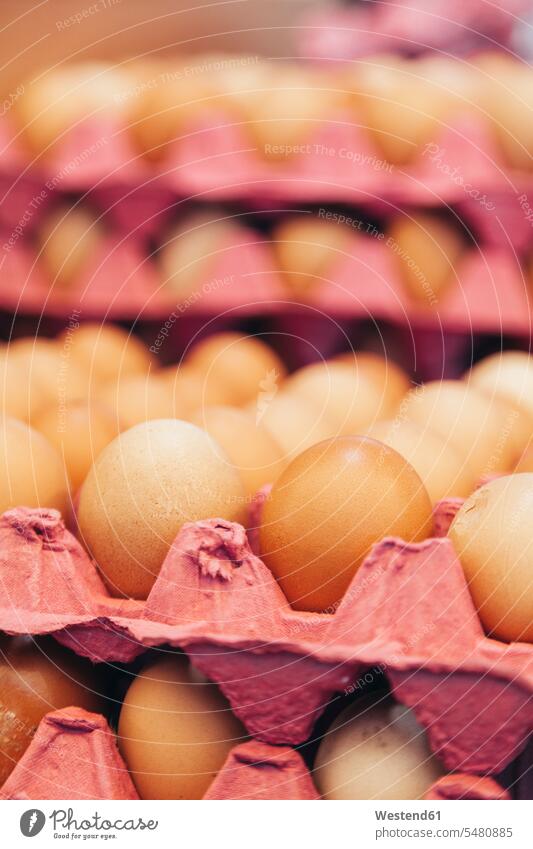 Braune Bio-Freilandeier auf Eierkarton, Nahaufnahme Angebot Angebote anbieten bio biologisch organisch Vorrat Vorräte Formatfüllend bildfuellend bildfüllend