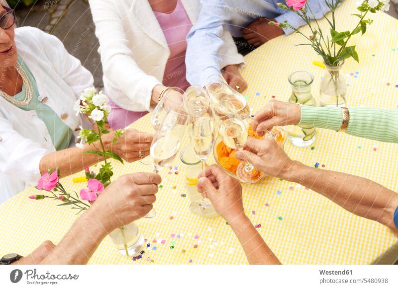 Gruppe von Senioren feiert, Champagner trinkend alte ältere feiern Sekt Geburtstag Geburtstagsfeiern Geburtstage anstoßen zuprosten anstossen Erwachsene