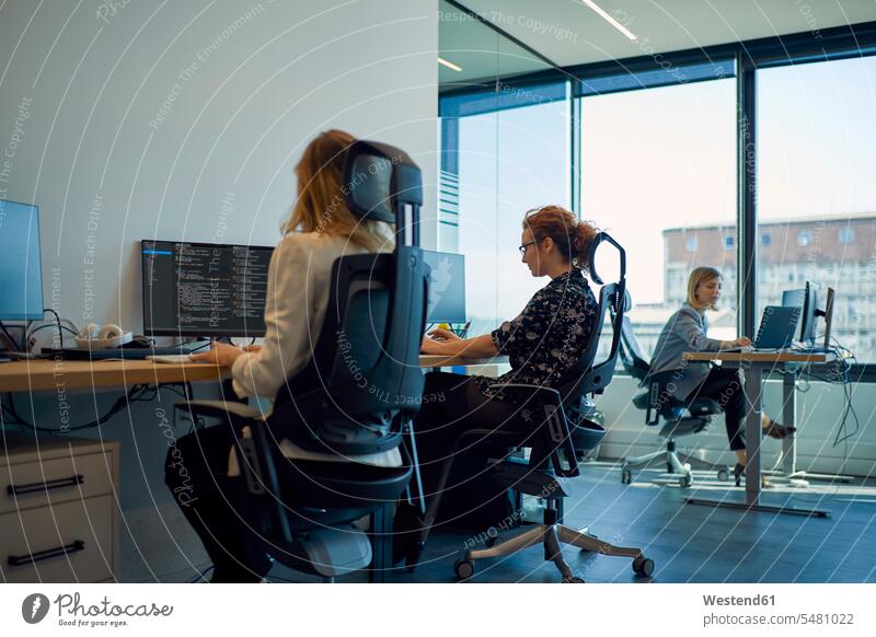 Geschäftsfrauen, die Computer im Büro benutzen Businesswomen Businessfrauen Businesswoman Rechner Office Büros arbeiten Arbeit Kollegin Kolleginnen