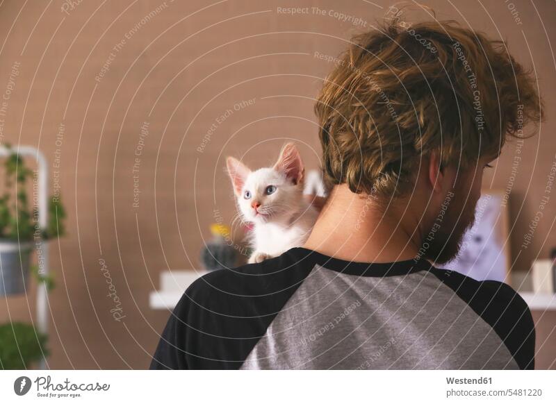 Rückenansicht eines Mannes mit Kätzchen auf der Schulter Männer männlich Katze Katzen Erwachsener erwachsen Mensch Menschen Leute People Personen Haustier