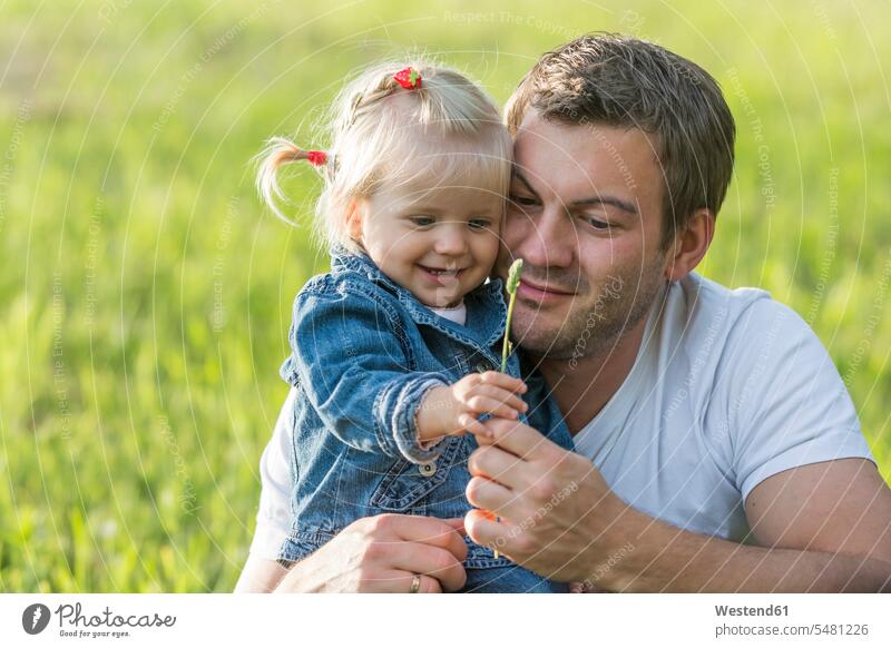 Vater mit kleiner Tochter auf einer Wiese niedlich süss süß putzig halten Zweig Zweige Natur Freude freuen Zusammengehörigkeit Verbundenheit Bindung