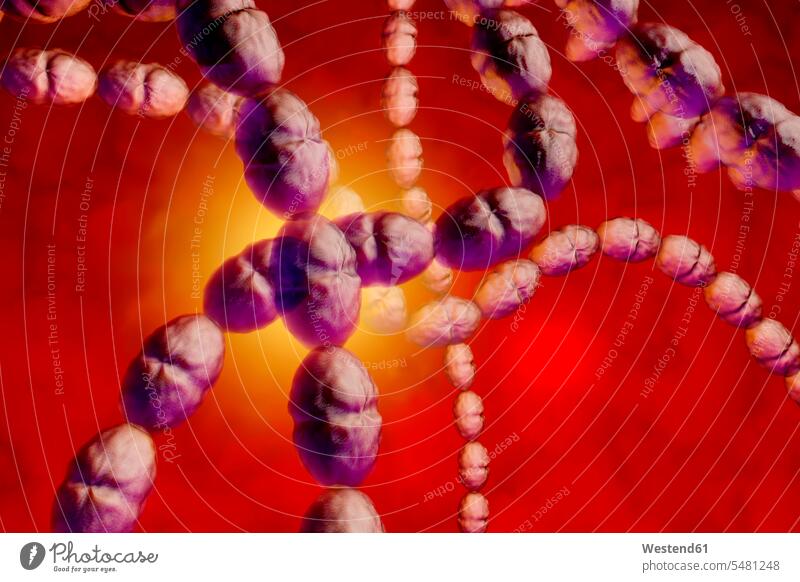 3D-gerenderte Illustration einer anatomisch korrekten Konvergenz zu Streptokokkenbakterien Streptococcus Infektion Infektionskrankheiten infiziert Infektionen